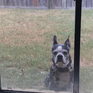 Meet your Posher, Seth